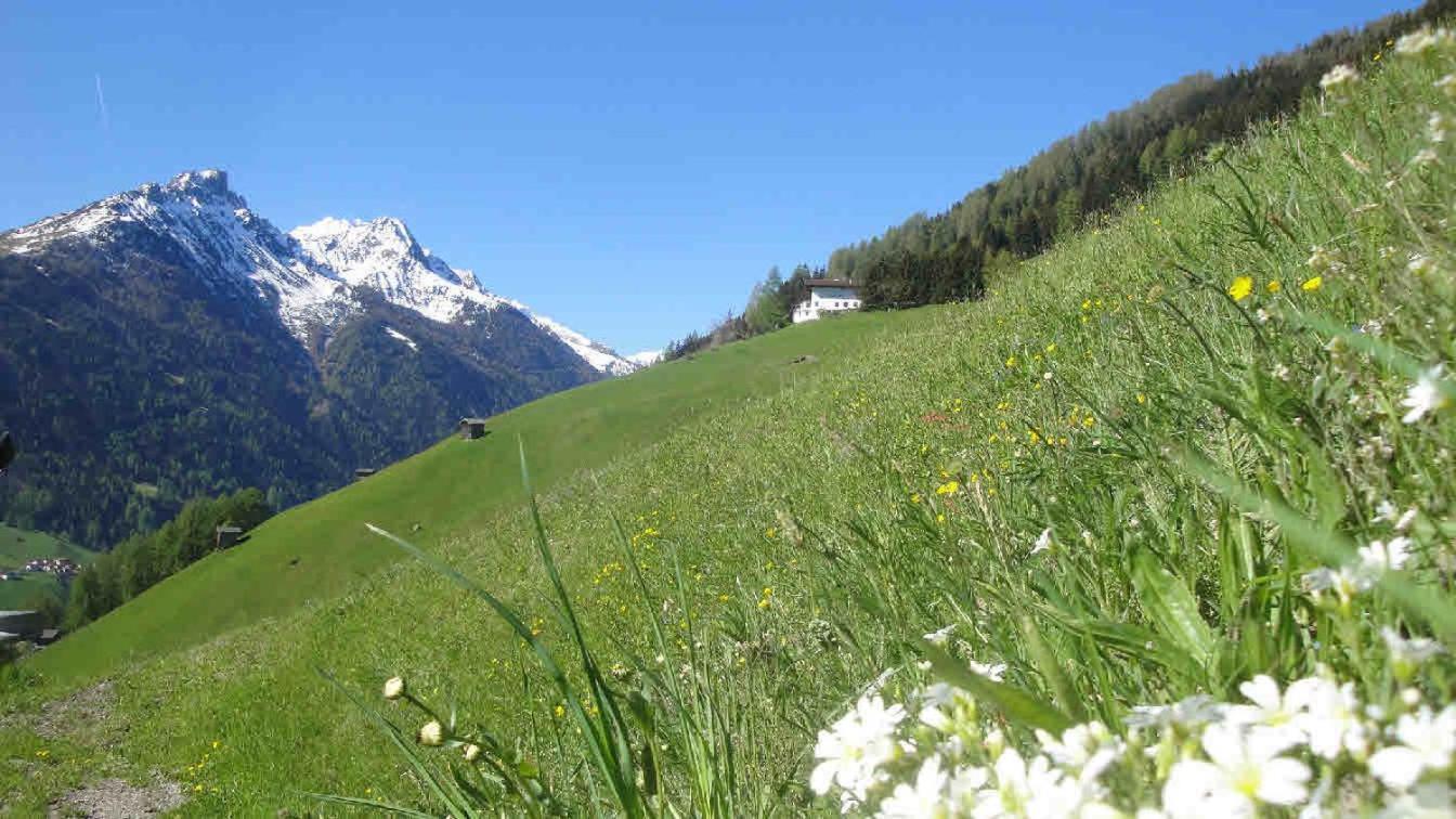 Pfurtschell Apartment Neustift im Stubaital Exterior photo