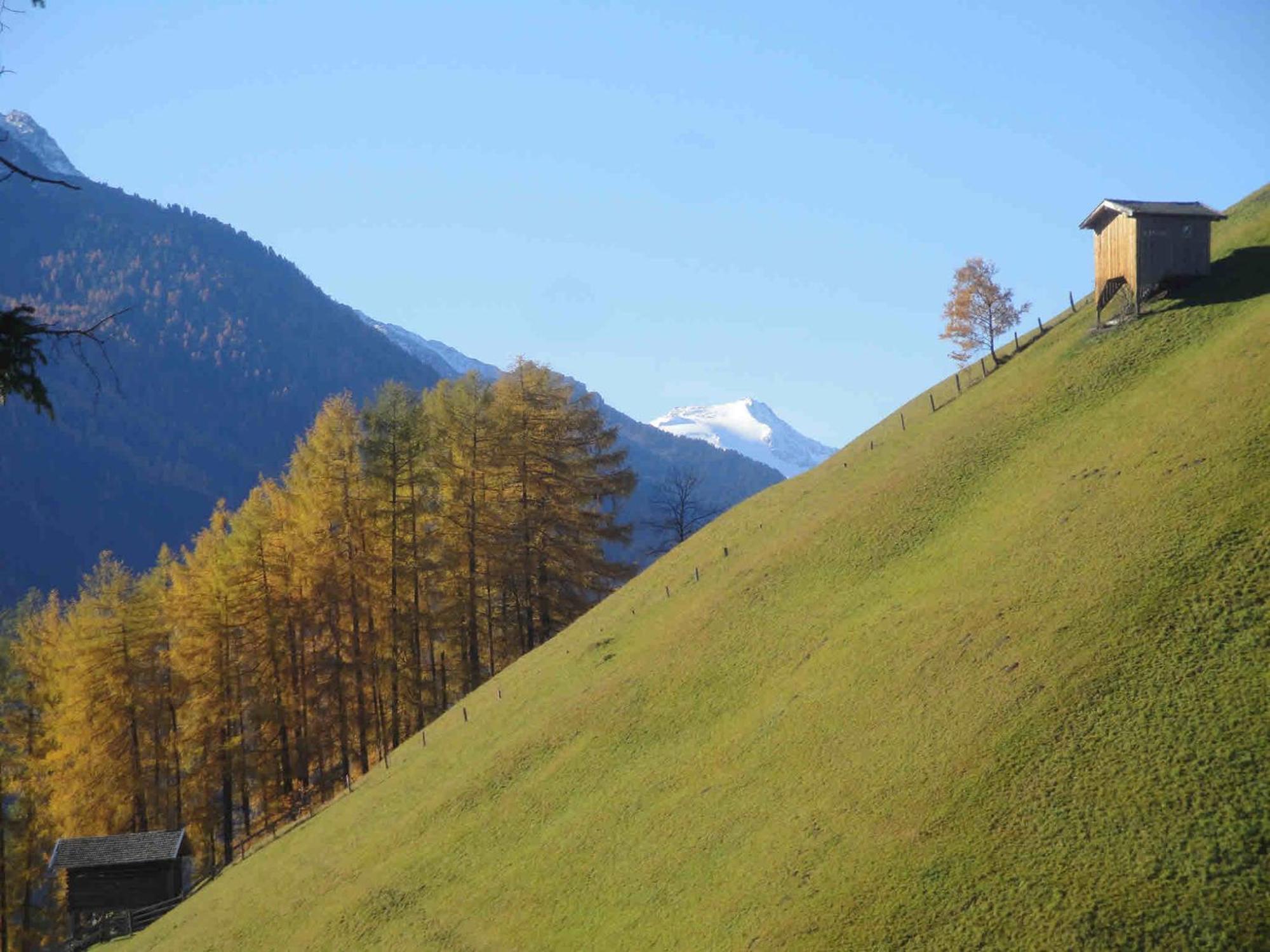 Pfurtschell Apartment Neustift im Stubaital Exterior photo